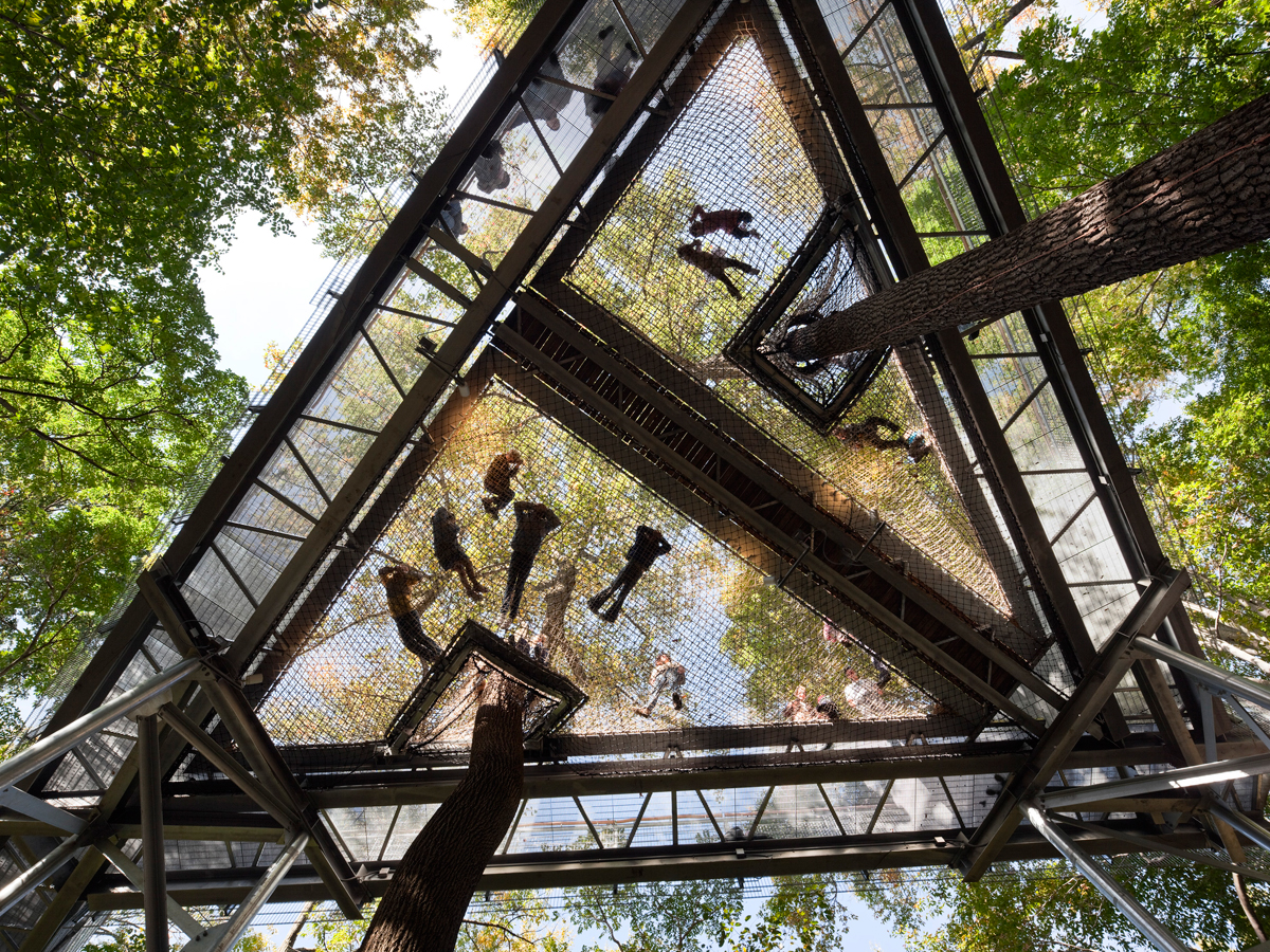 Morris Arboretum