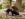 A person holding a cane kneels, smiles at the camera and wraps an arm around their service dog.