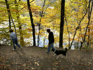 Two people and a dog walk along a wooded trail at Pennypack Park during autumn, with yellow and orange leaves on the surrounding trees.