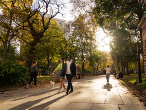 People stroll through Washington Square Park on a sunny fall day, with yellow and green leaves on the trees and soft afternoon light filtering through the tree branches.